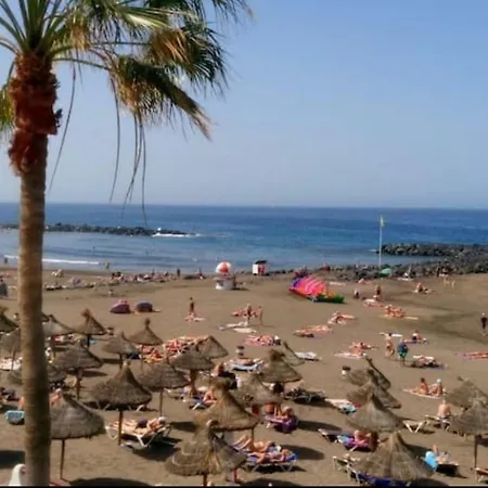 Life 365 Playa de las Américas